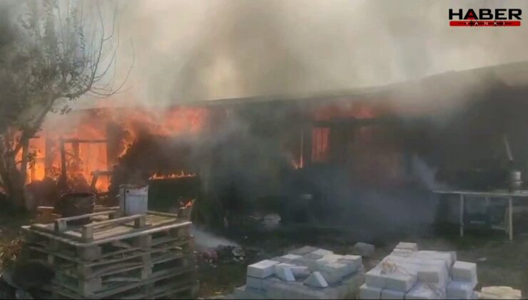 Bursa'da bağ evi kül oldu