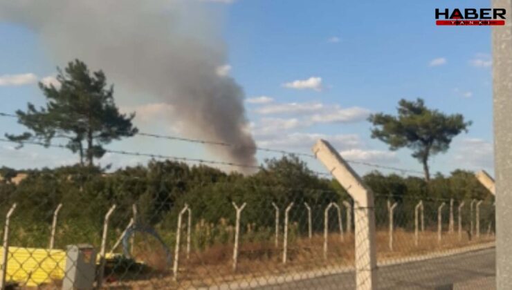 Çanakkale'de orman yangını: Havadan ve karadan müdahale sürüyor