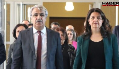 DEM Parti'den CHP'ye destek