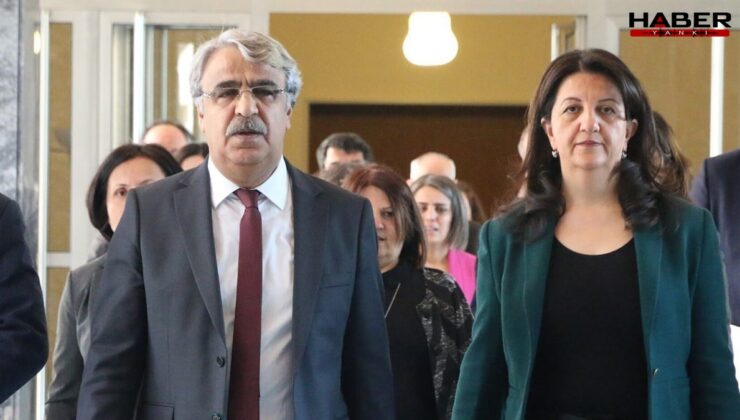 DEM Parti'den CHP'ye destek
