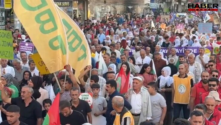 Diyarbakır'da Öcalan için yürüyüş