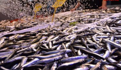 En çok rağbet o balıklara var: Kilosu 100 TL'den kapış kapış satılıyor