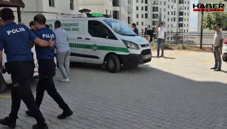 Evde karısıyla yakaladığı jandarmayı öldürmüştü: Başkomiserin eşinin ifadesi ortaya çıktı