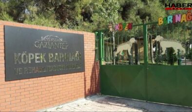 Gaziantep'teki vahim iddialara belediyeden yanıt