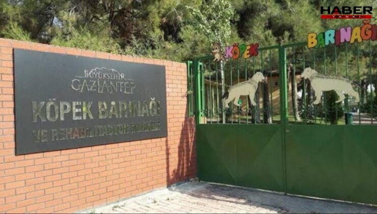 Gaziantep'teki vahim iddialara belediyeden yanıt