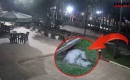 Gökten lapa lapa buz düştü