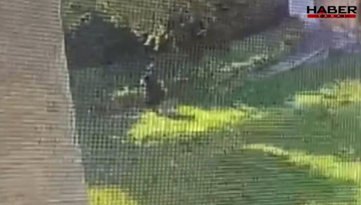 İstanbul'un göbeğinde yangın çıkarmaya çalışırken yakalandı