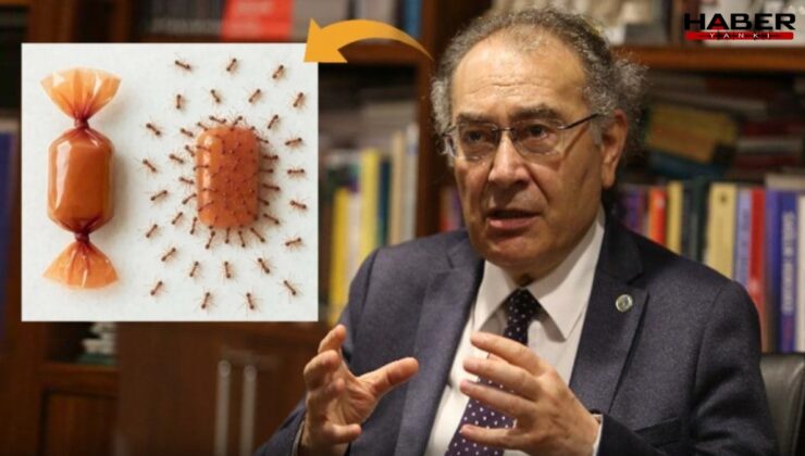 Kadınların isyanı rektöre geri adım attırdı