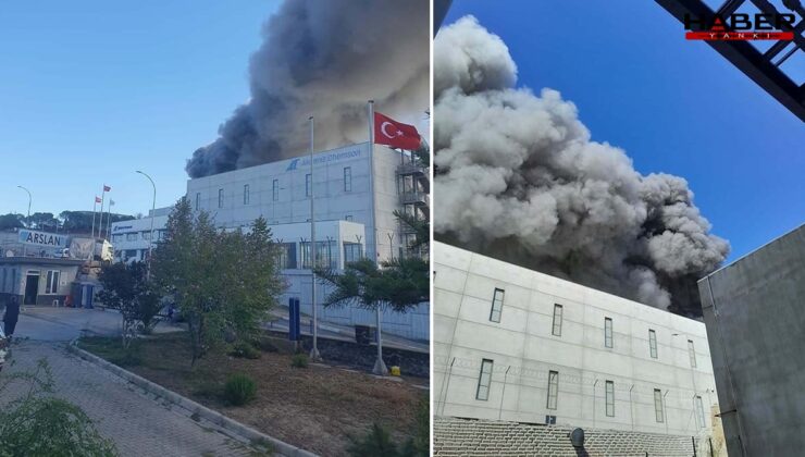 Kimyasal madde üreten fabrikada yangın çıktı
