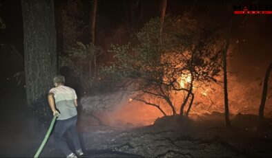 Muğla'da 4 farklı noktada orman yangını