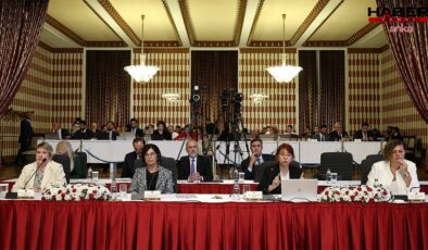 Profesörün, Atatürk ve Öcalan sözleri komisyonda tepki gördü
