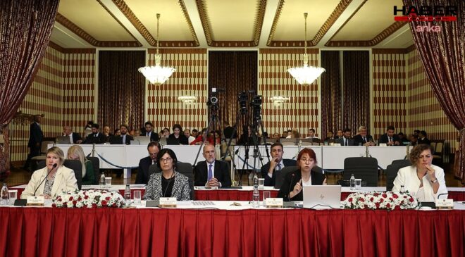 Profesörün, Atatürk ve Öcalan sözleri komisyonda tepki gördü