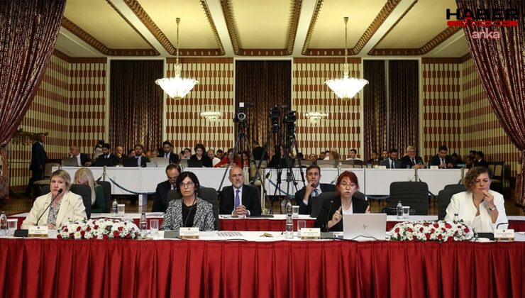 Profesörün, Atatürk ve Öcalan sözleri komisyonda tepki gördü