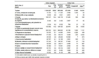 Sektör Bilançoları, 2024