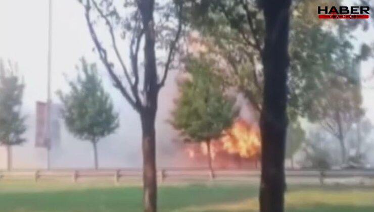 Şişli Piyalepaşa’da ağaçlık alanda yangın paniği