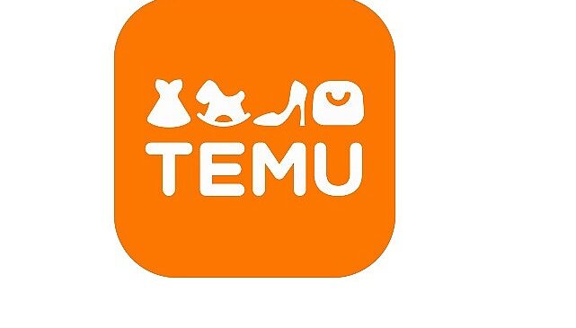 Temu’nun Büyük Hacimli Teslimatları Türkiye’de Horoz Lojistik’e Emanet
