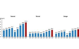 Uluslararası Hizmet Ticareti İstatistikleri, 2024