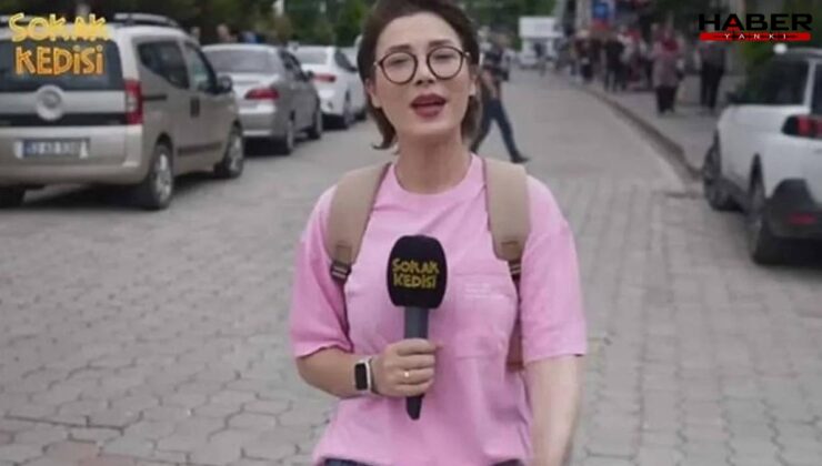 'Sokak Kedisi' serbest bırakıldı