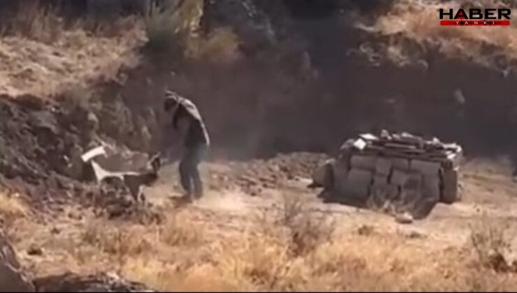 Yavru köpeğe eziyet saniye saniye kaydedildi