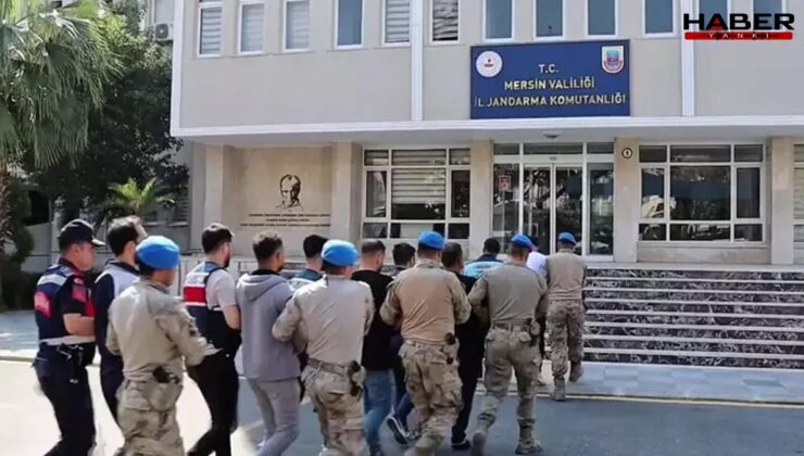 10 ilde 3 suç örgütüne operasyon! 370 kişi gözaltına alındı