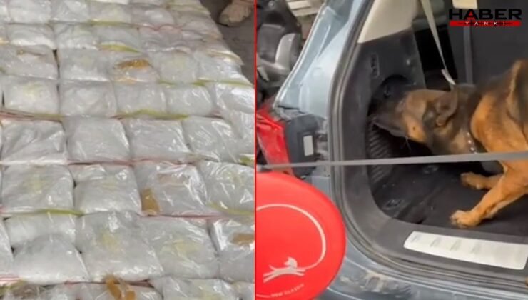 100 kiloluk uyuşturucu sevkiyatı polise takıldı