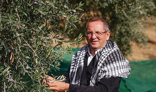 20. Ayvalık Uluslararası Zeytin Hasat ve Turizm Festivali gün sayıyor