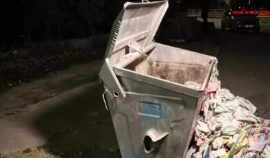 41 yaşındaki kadın, doğum sonrası bebeğini çöpe attığını itiraf etti