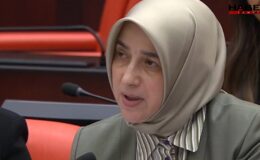 AKP'li Özlem Zengin, uçak sözleri tepki görünce geri adım attı
