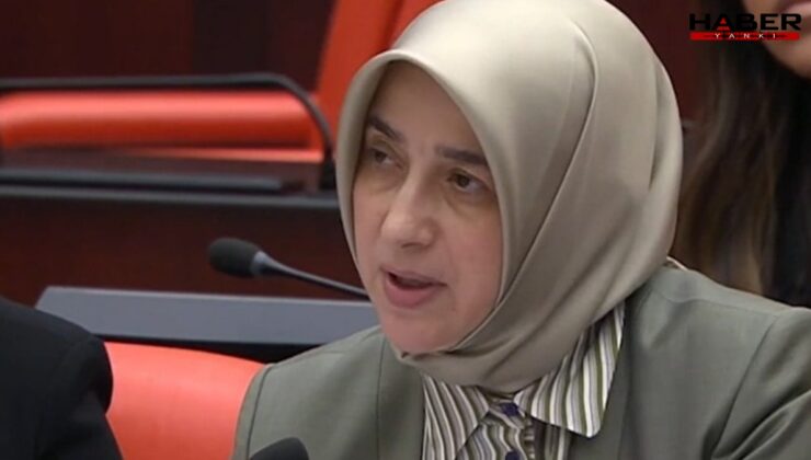 AKP'li Özlem Zengin, uçak sözleri tepki görünce geri adım attı