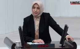 AKP'li Özlem Zengin: 'İlginç bir önerim var, Yahudi Soykırımı filmleri yasaklansın'