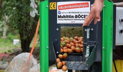 Büyükşehir’in ceviz soyma makineleri üreticilerin hizmetinde