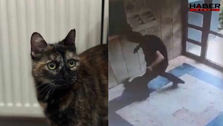 Cezve'yi katleden sanıktan skandal savunma