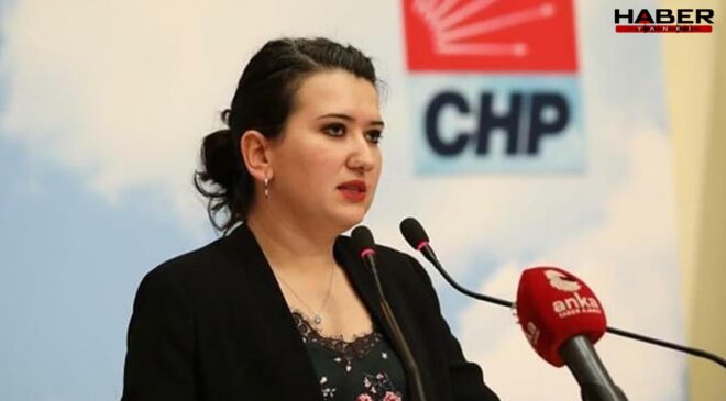 CHP'li Gökçe Gökçen'de 29 Ekim mesajı