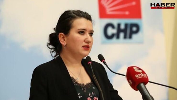 CHP'li Gökçe Gökçen'de 29 Ekim mesajı