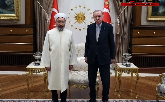 Cumhurbaşkanı Erdoğan, Safi Arpaguş'u kabul etti