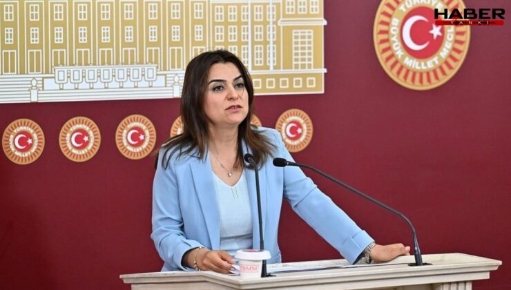 DEM Partili Gülistan Kılıç Koçyiğit Şehitler açıklaması için özür diledi