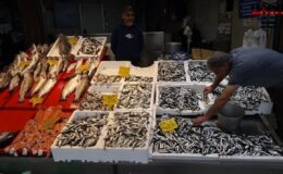 Denizden tezgahlara taştı, kilosu 100 liradan kapış kapış satıldı