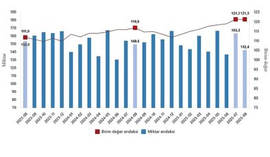 Dış Ticaret Endeksleri, Ağustos 2025