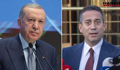 Erdoğan'ın toplu iğne sözlerine CHP'li isimden tepki