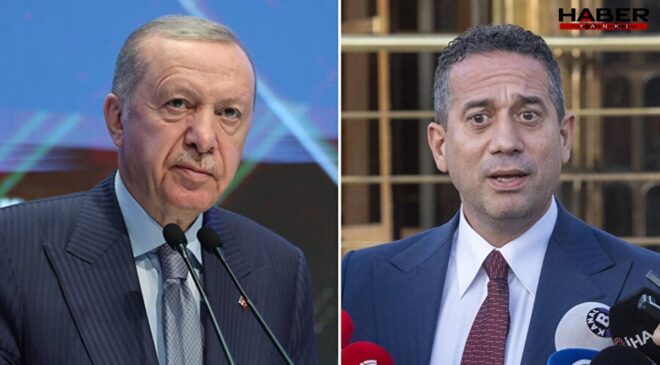 Erdoğan'ın toplu iğne sözlerine CHP'li isimden tepki