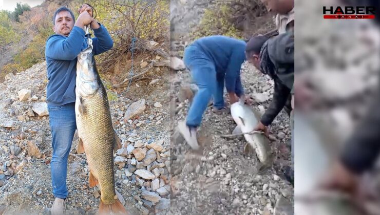 Gören bir daha baktı! Tam 32 kilo