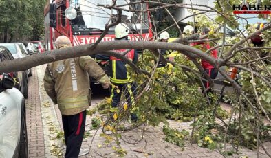 İstanbul'da şiddetli rüzgarın etkisiyle  Ağaç ve elektrik direği araçların üzerine devrildi