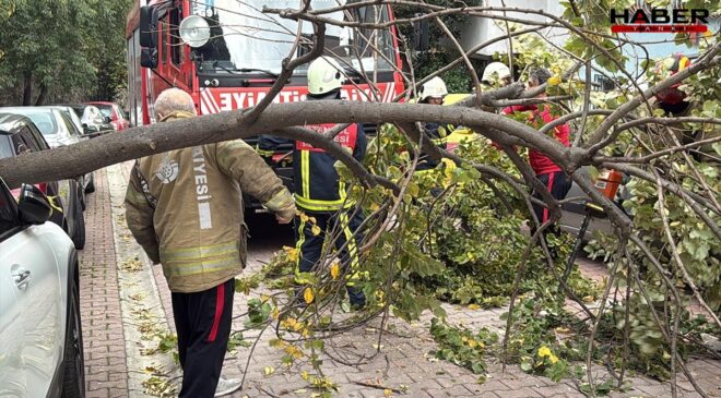 İstanbul'da şiddetli rüzgarın etkisiyle  Ağaç ve elektrik direği araçların üzerine devrildi