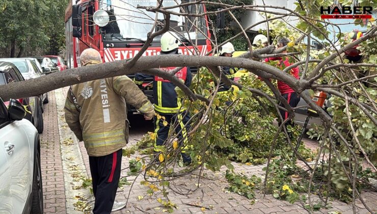 İstanbul'da şiddetli rüzgarın etkisiyle  Ağaç ve elektrik direği araçların üzerine devrildi