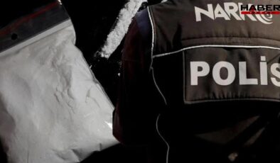 İzmir’de uyuşturucu ve silah operasyonlarında 15 Tutuklama