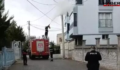 Mahallede panik anları: Siirt’te elektrik direği alev aldı