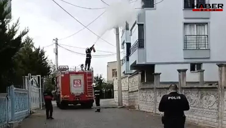 Mahallede panik anları: Siirt’te elektrik direği alev aldı