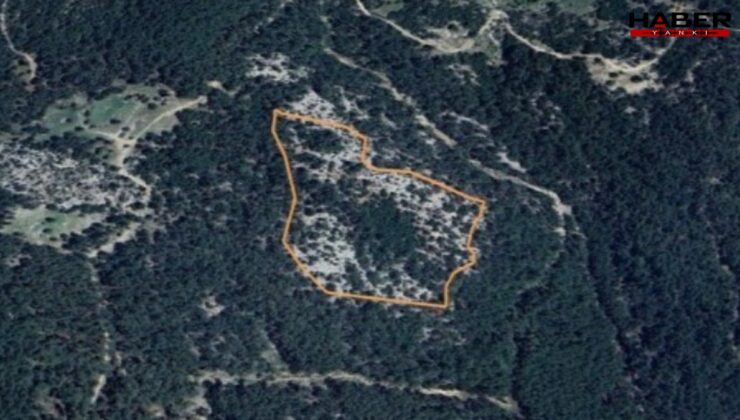 Ormanlık alana maden ocağı projesine "ÇED olumlu" kararı
