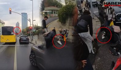 Otobüse çarpan martı kalp masajıyla hayata döndü