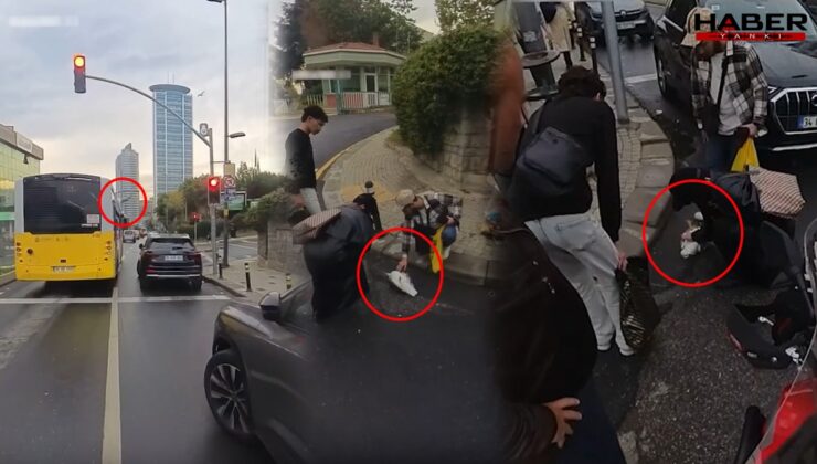 Otobüse çarpan martı kalp masajıyla hayata döndü